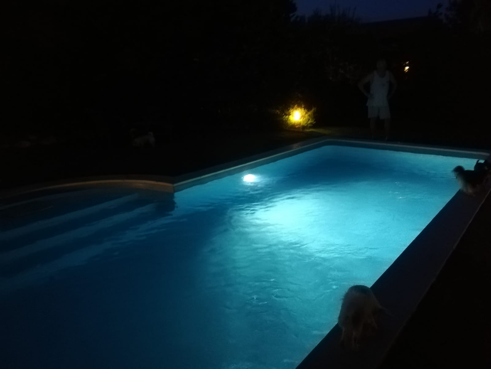 Piscina in kit Magiline da 4 x 8 mt altezza 1.5 mt con scala a angolo - immagine 40